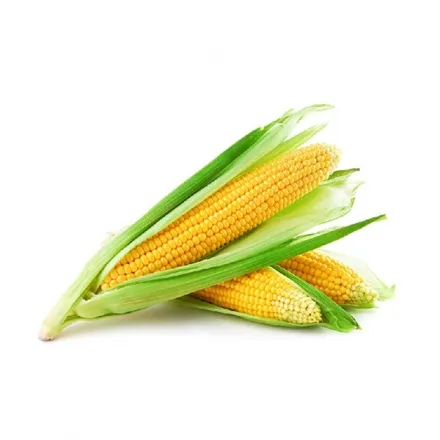 Кукурудза 1 шт, 1 гат. - Фото 1