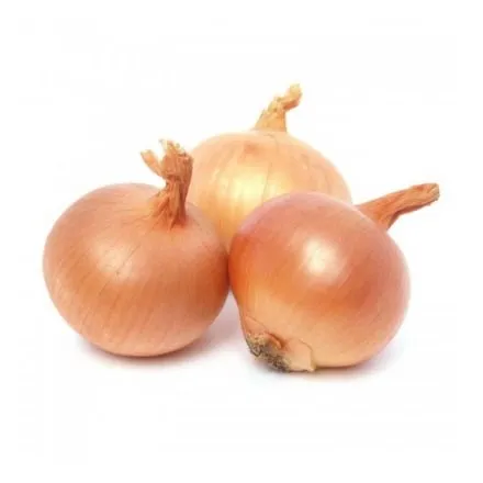 Цибуля Ріпчаста - Фото 1