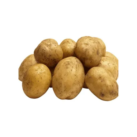 Картопля - Фото 4