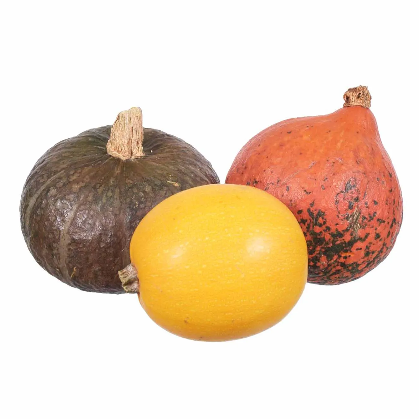 Гарбуз другий гатунок - Фото 1