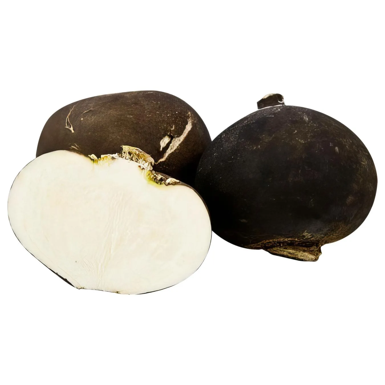 Редис чорний - Фото 1