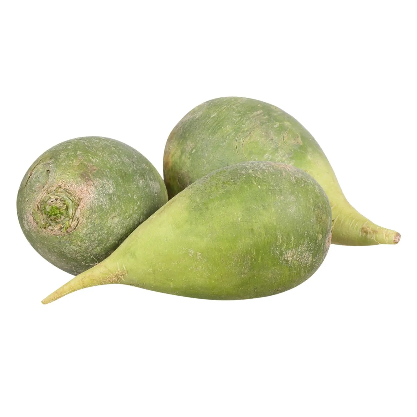 Редис салатний - Фото 1