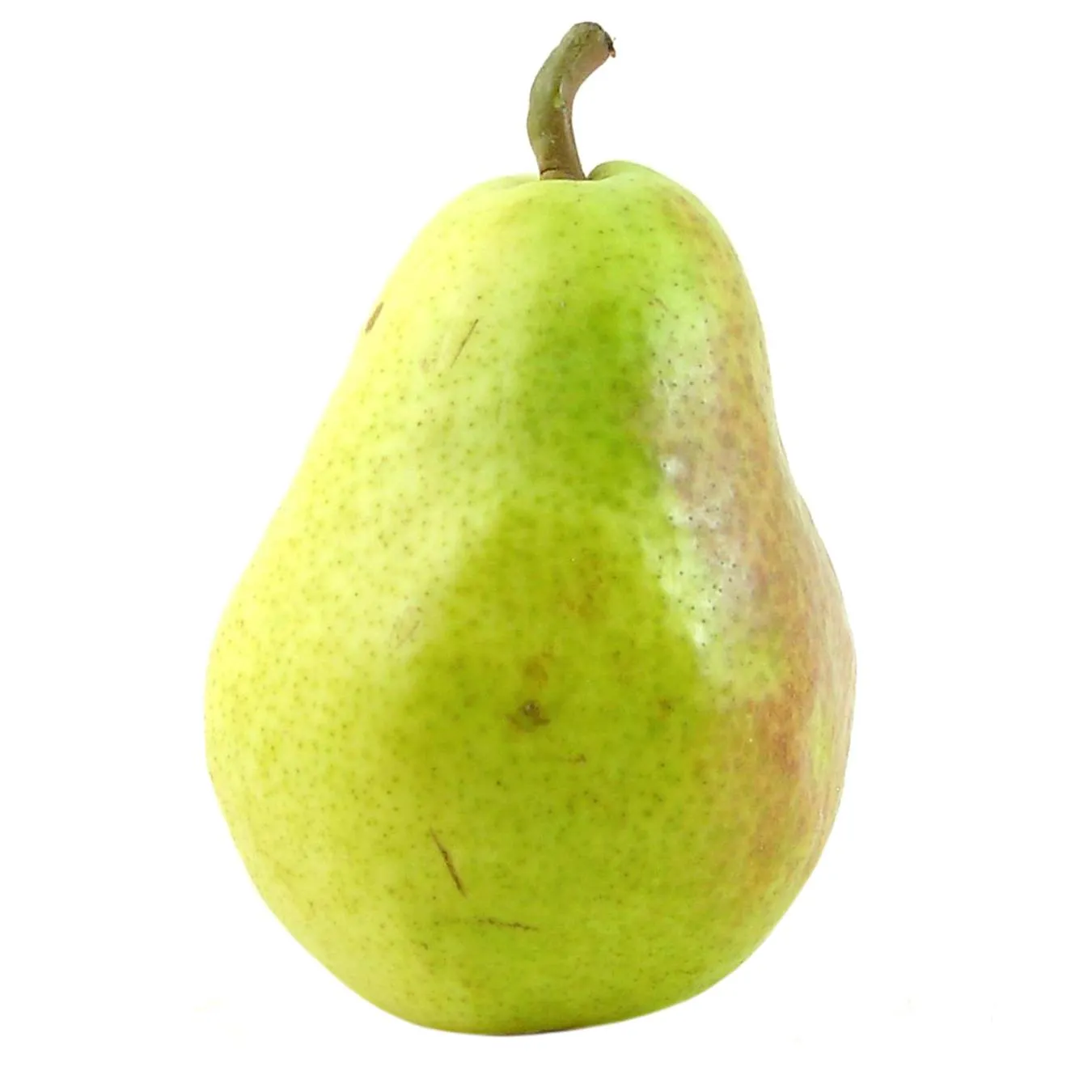 Груша Бера Україна - Фото 1