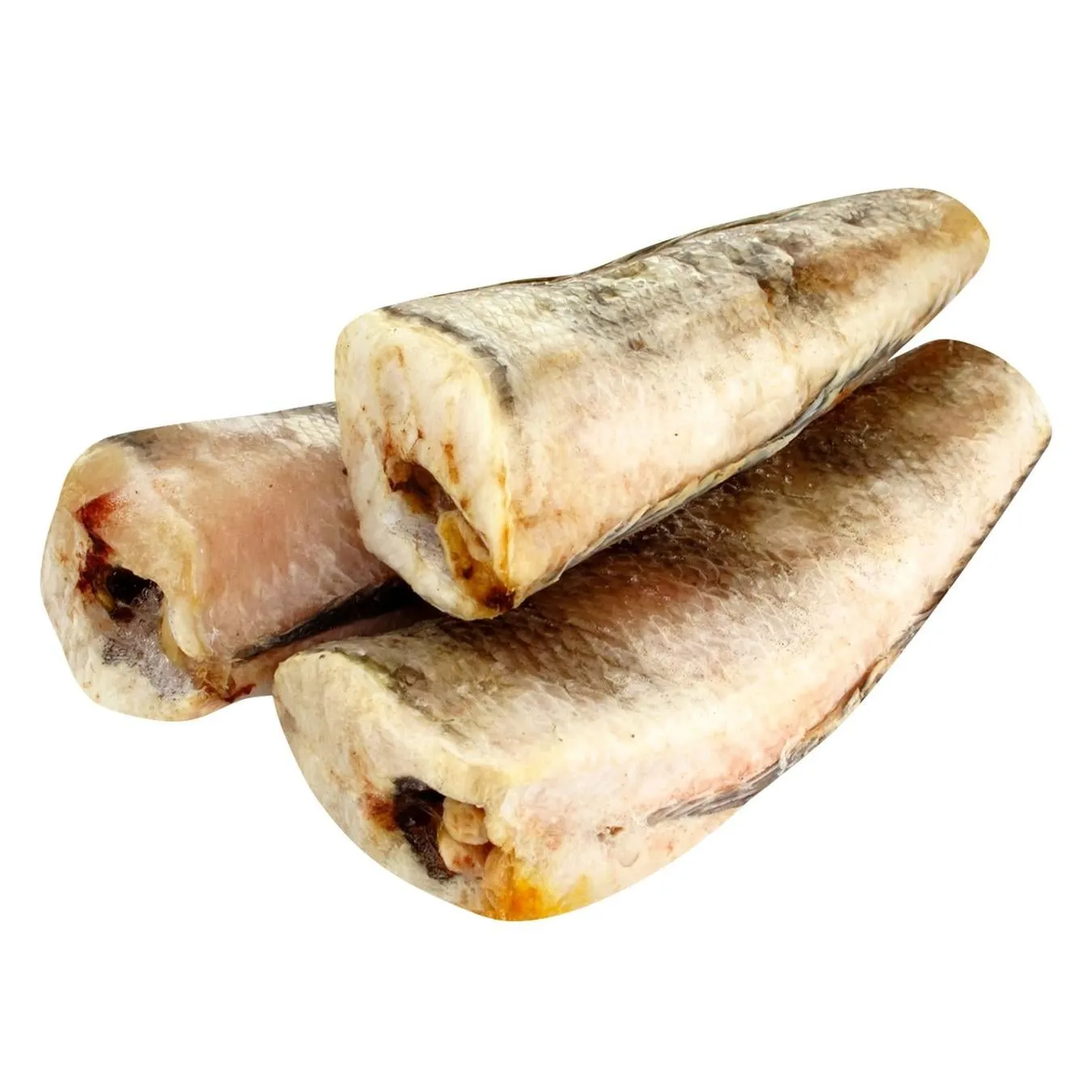 Нототенія - Фото 1