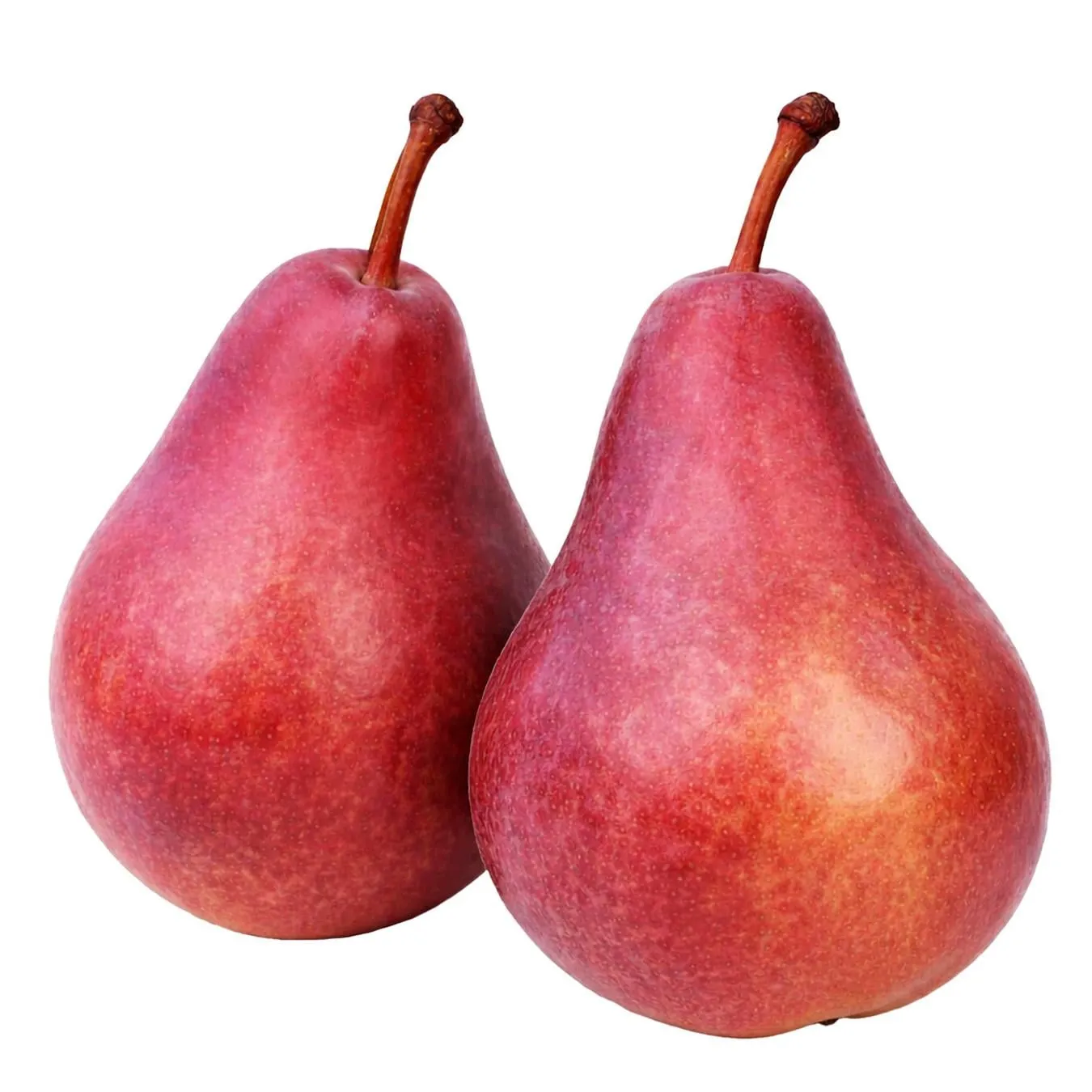 Груша Конференція червона кг - Фото 1