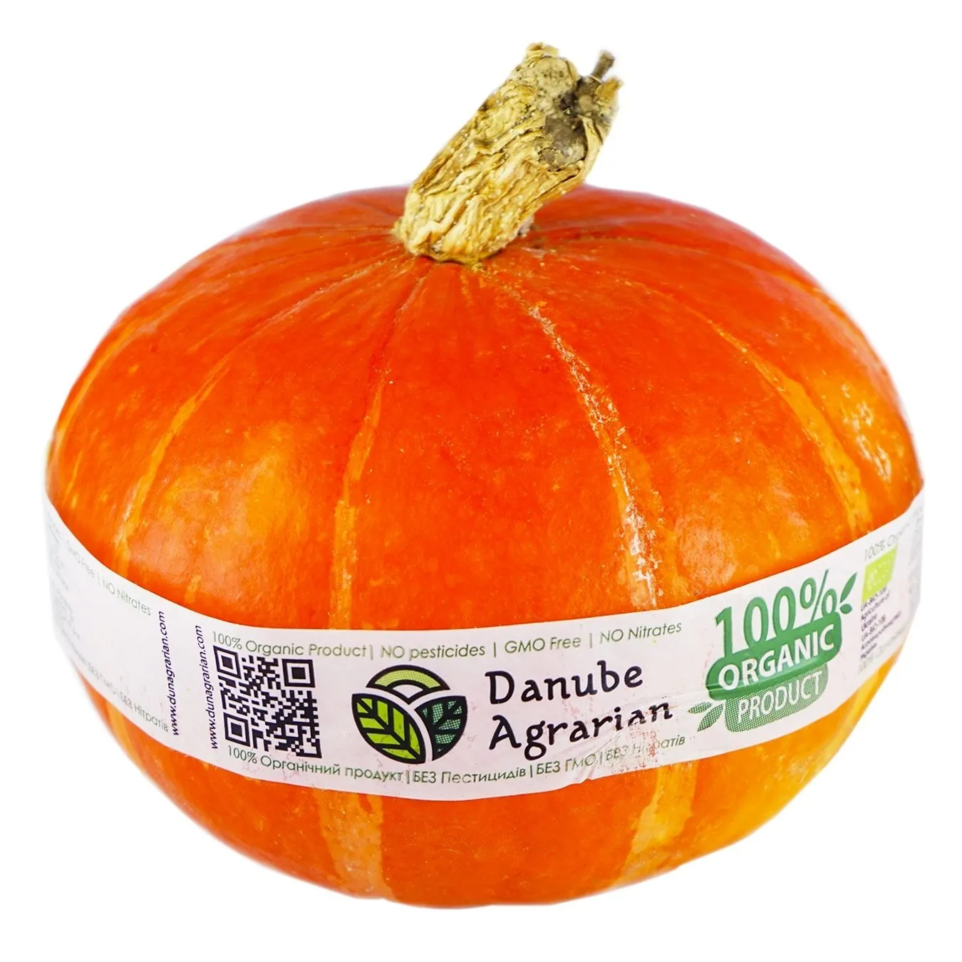 Гарбуз Хокайдо органічний - Фото 1