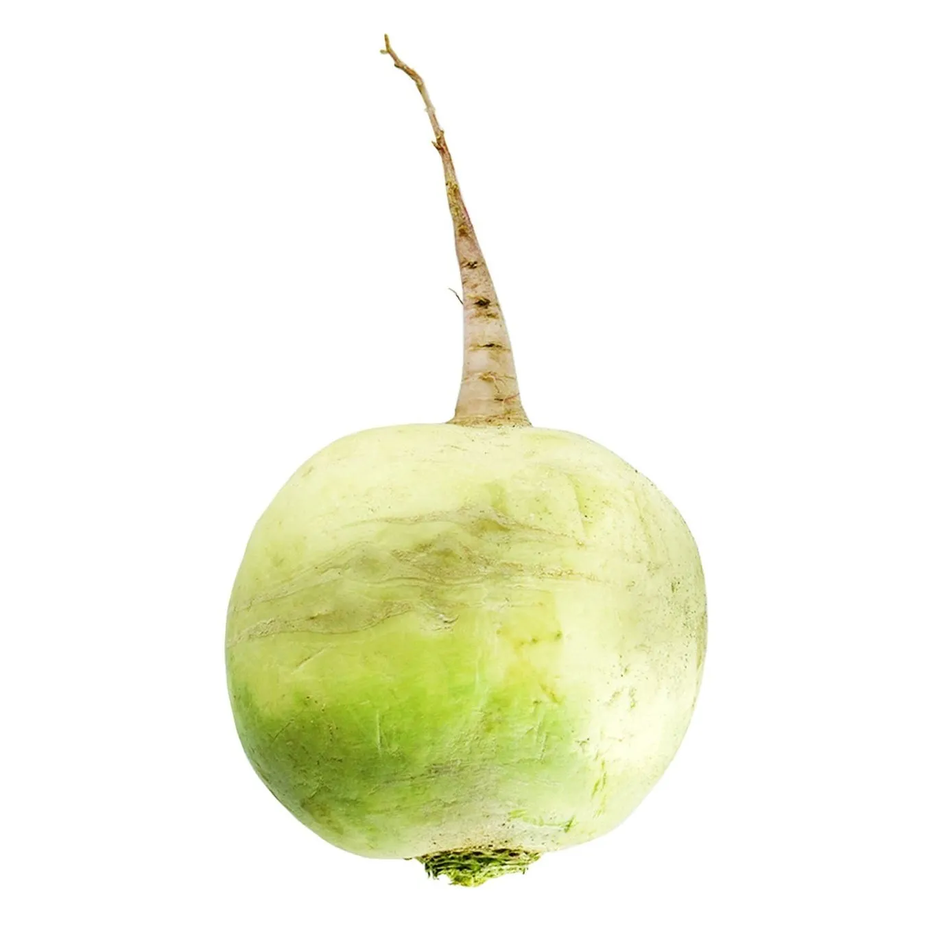 Редька Маргеланська салатна - Фото 1