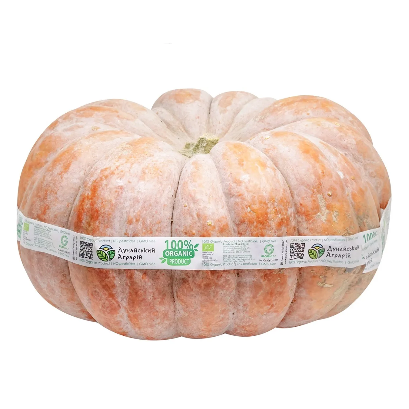 Гарбуз мускат органічний - Фото 1