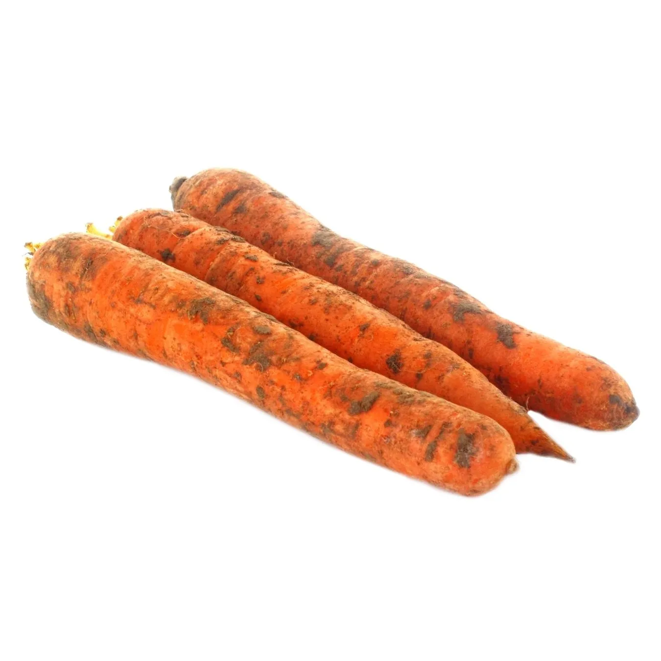 Морква - Фото 4