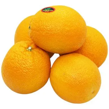 Апельсин - Фото 1