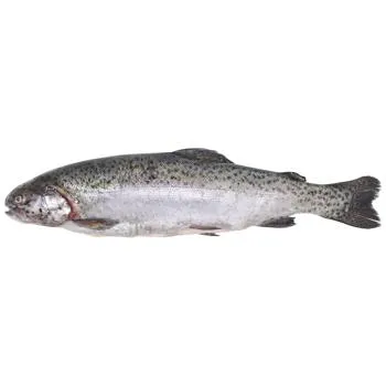 Форель річкова охолоджена 700-1000г - Фото 1