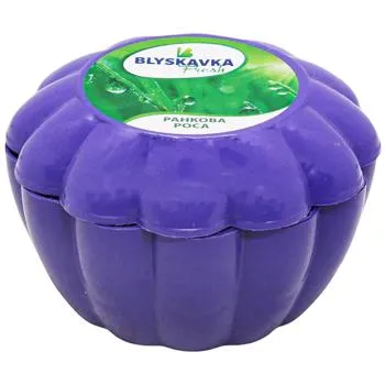 Освіжувач повітря гелевий Blyskavka Fresh Сонячна м'ята - Photo 1