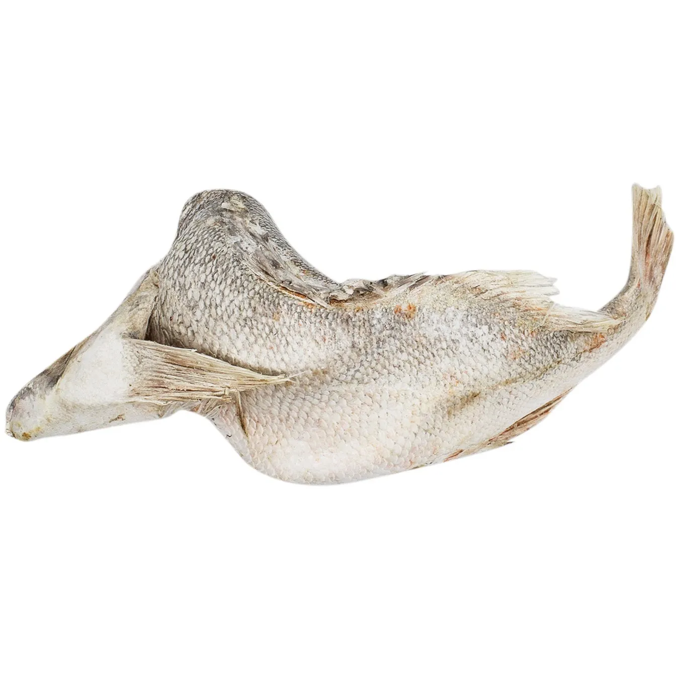 Окунь 1кг+ - Фото 1