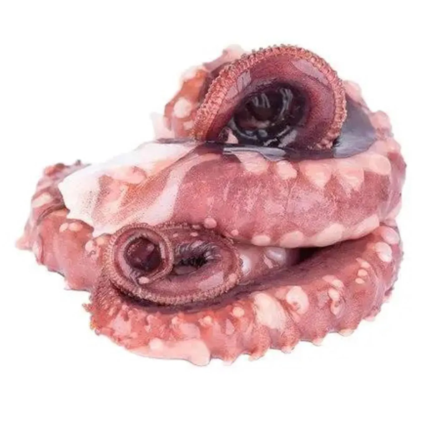 КАЛЬМАР ЩУПАЛЬЦЯ С/М ВАГ - Фото 1