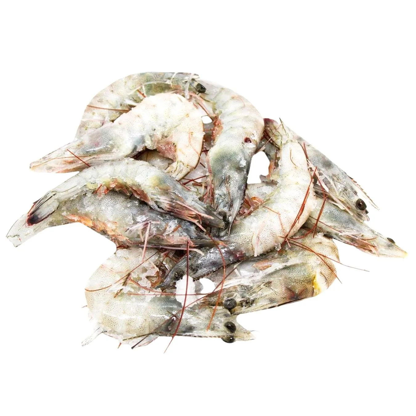 *КРЕВЕТКА С/М СИРА ЦІЛА - Фото 1