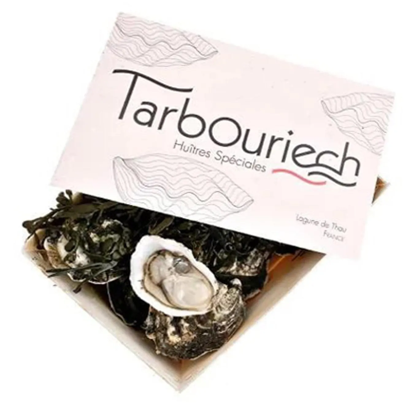 Устриця Чорна перлина №4 набір 12шт - Фото 1