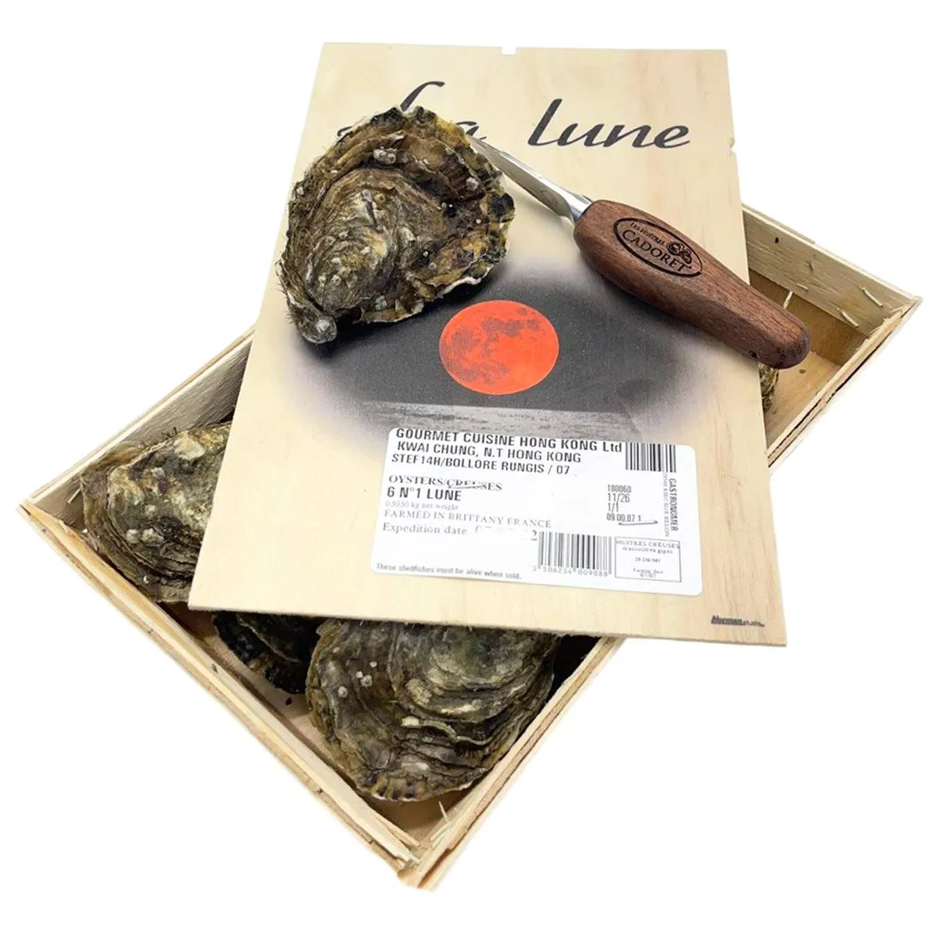 Устриця Ла Лун №4 набір 12шт - Фото 1