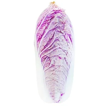 Капуста пекінська фіолетова - Фото 1