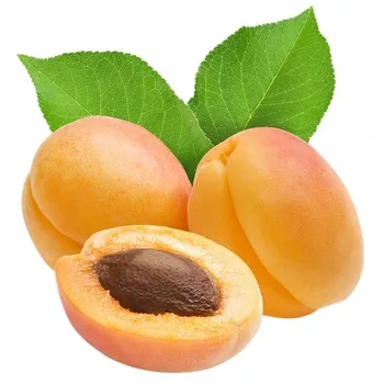 Абрикос ананасовий - Фото 5