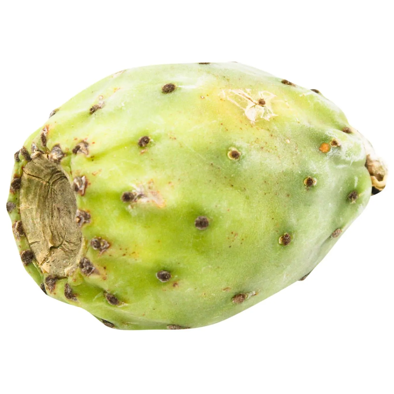 Кактус фрут, шт - Фото 1