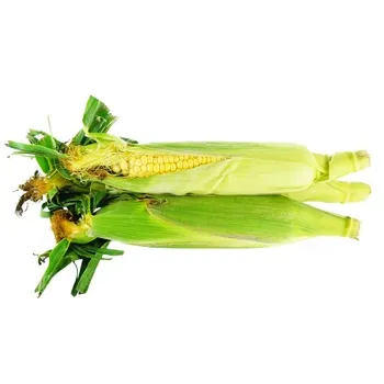 Кукурудза молода - Фото 1
