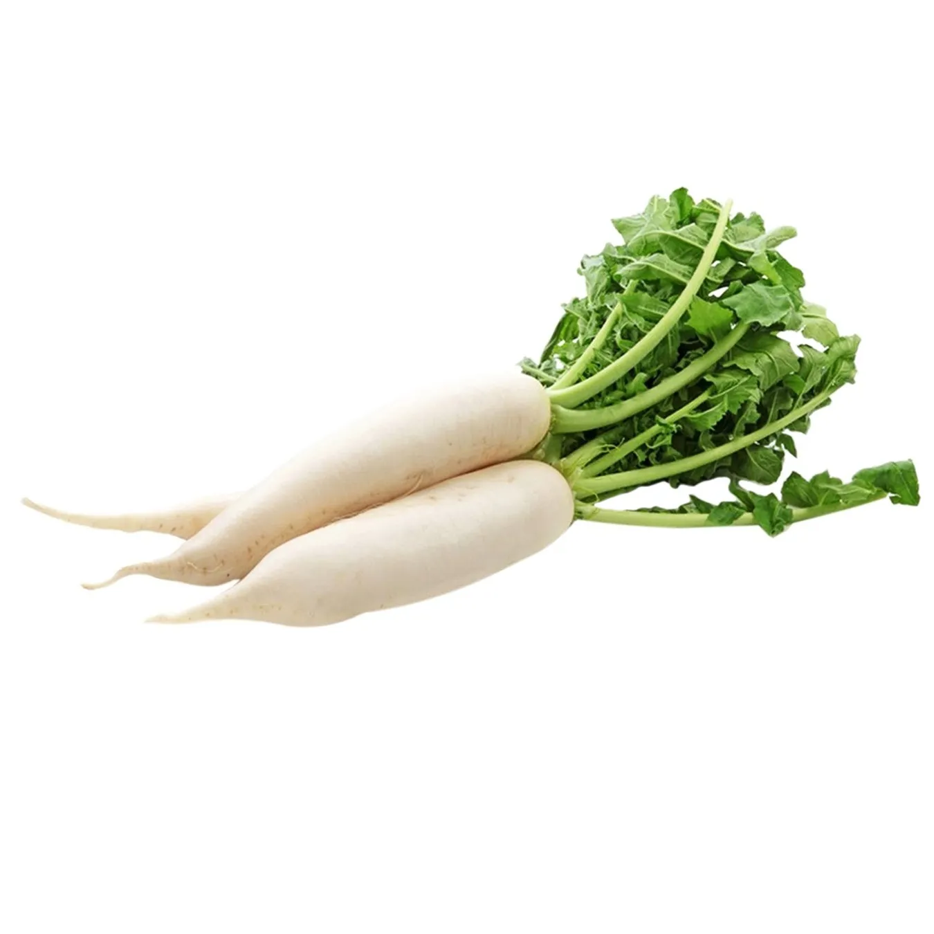 Дайкон - Фото 3