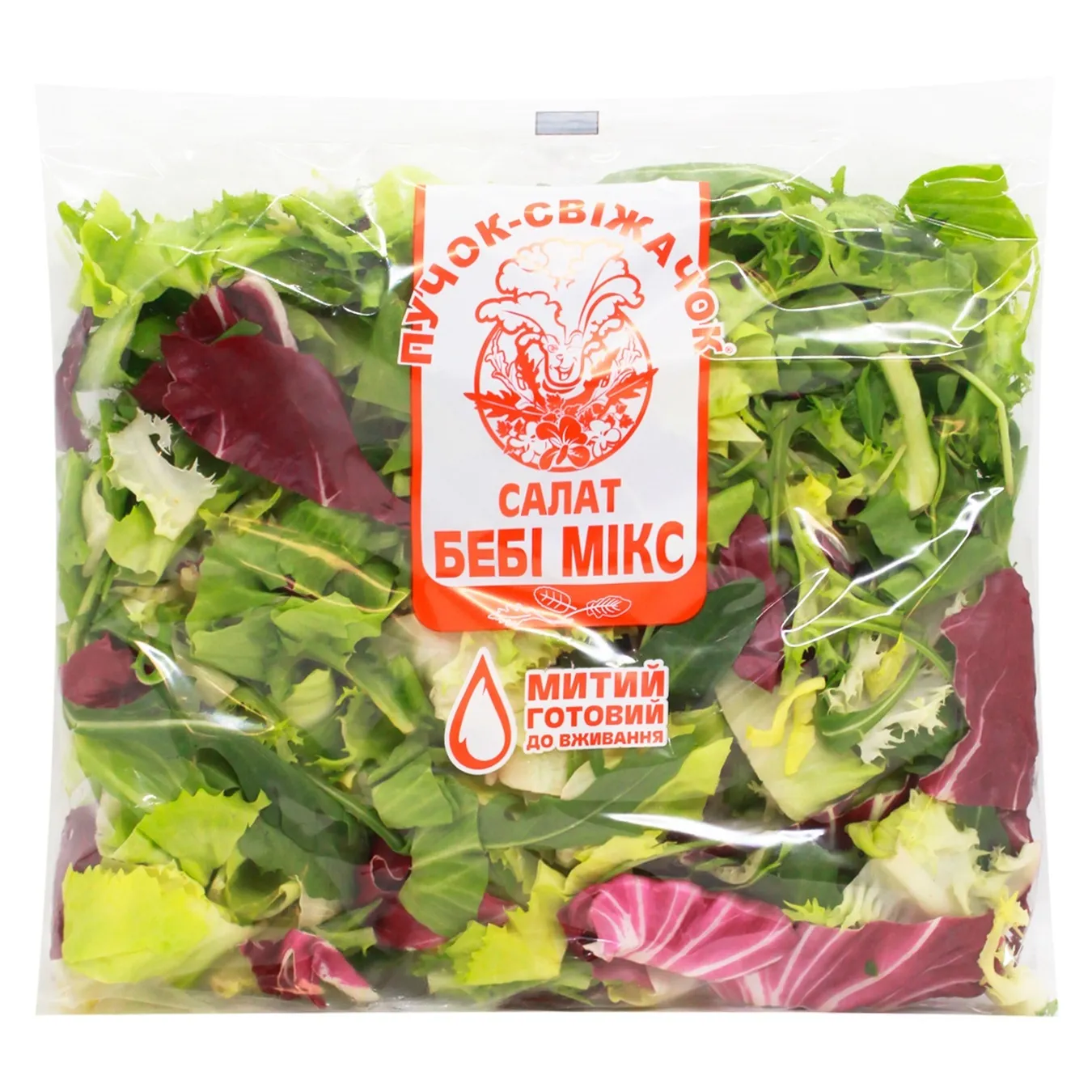 Салат Пучок-Свіжачок Мікс Фрізе та Рукола 180г - Фото 1