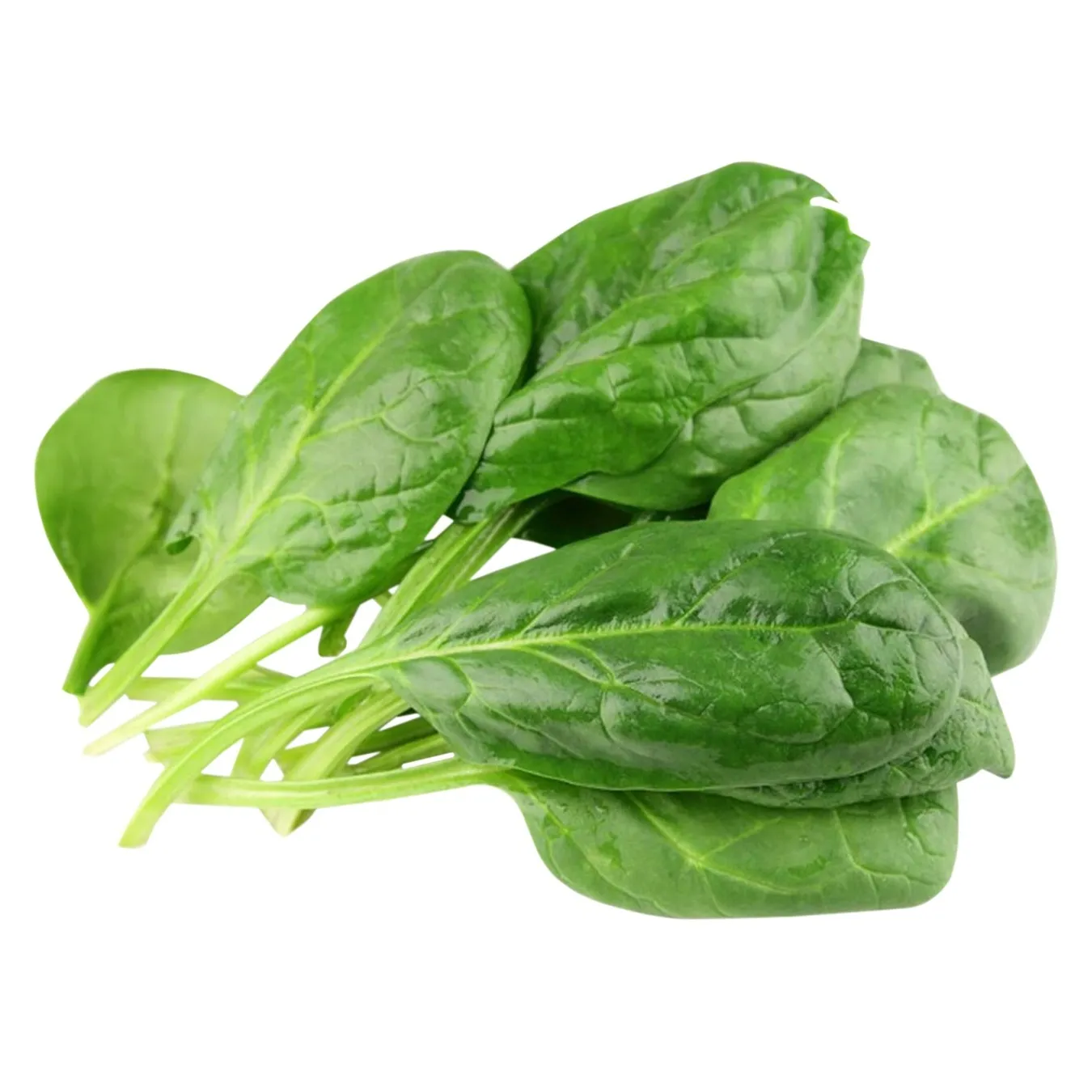 Шпинат - Фото 1