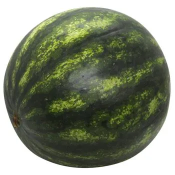 Кавун - Фото 3