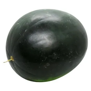 Кавун Вогник - Фото 4