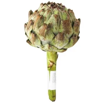 Артишок 1шт - Фото 1
