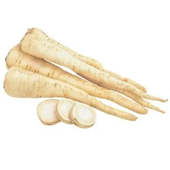 Корінь петрушки свіжий - Фото 1