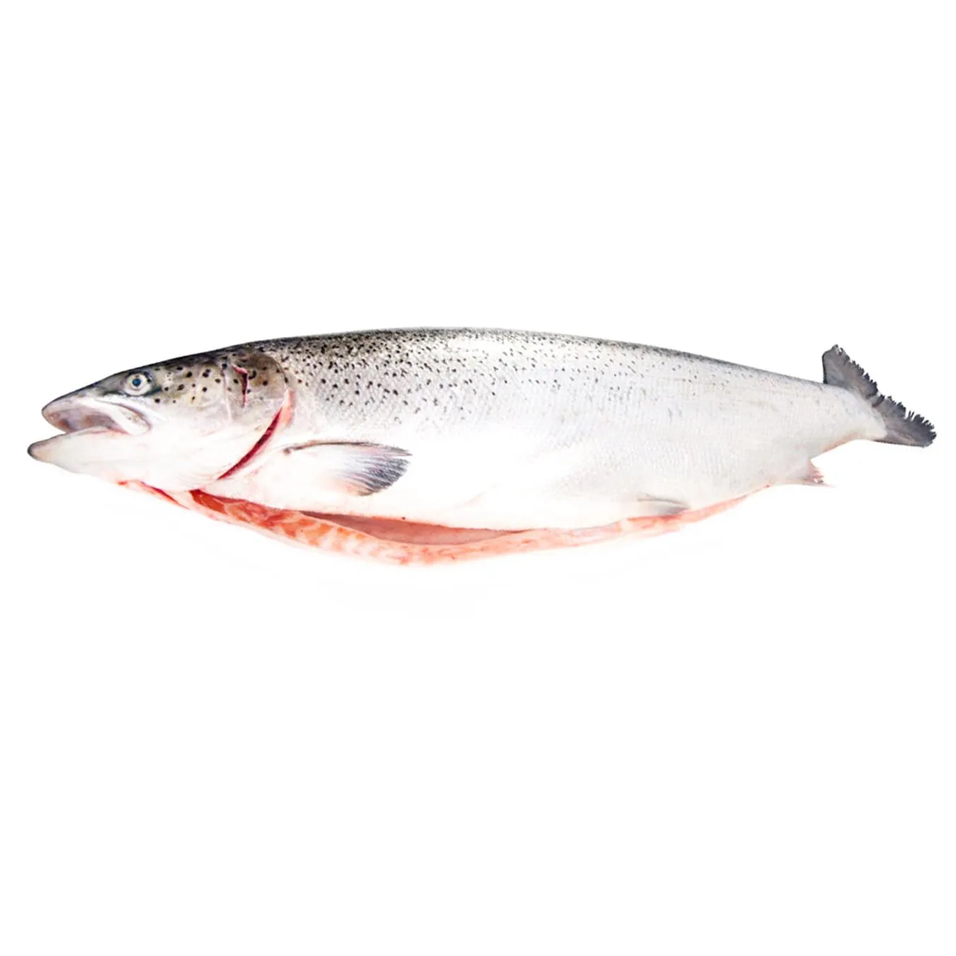 Форель Mеtro Chef тушка 4-5кг - Фото 1