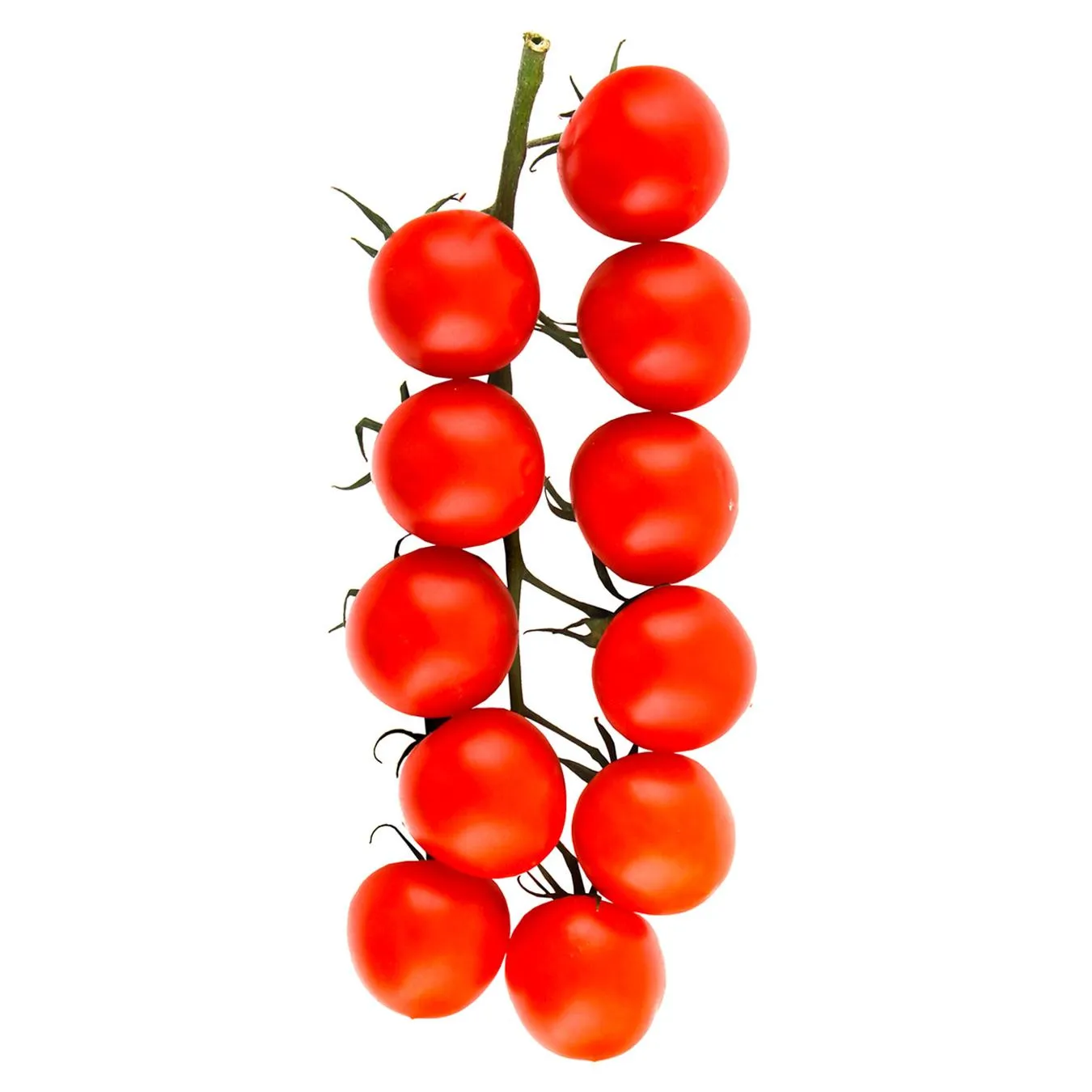 Помідор черрі Divino на гілці 200г - Фото 1