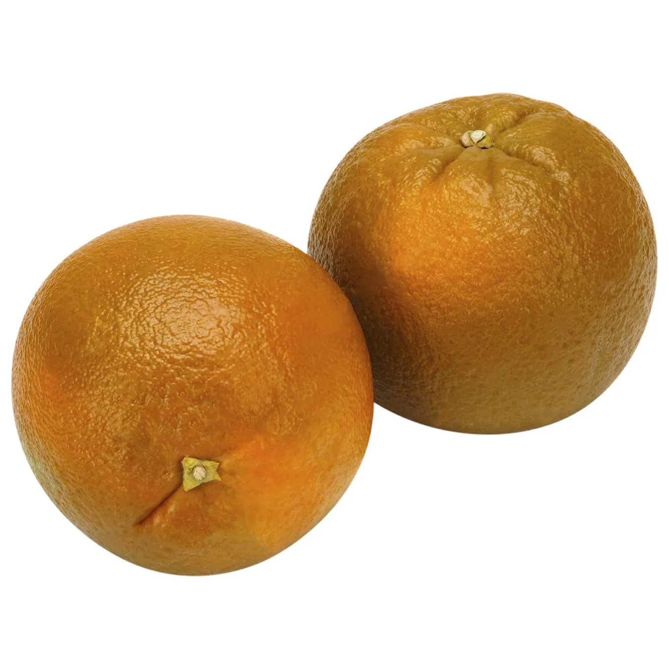 Танжело - Фото 1