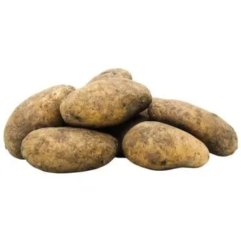 Картопля - Фото 1