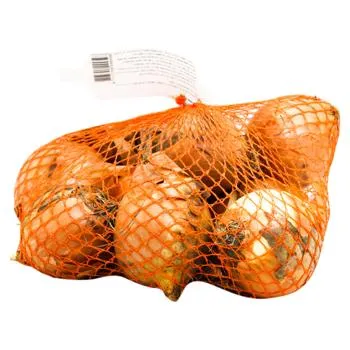 Цибуля ріпчаста жовта імпорт 1кг - Фото 1