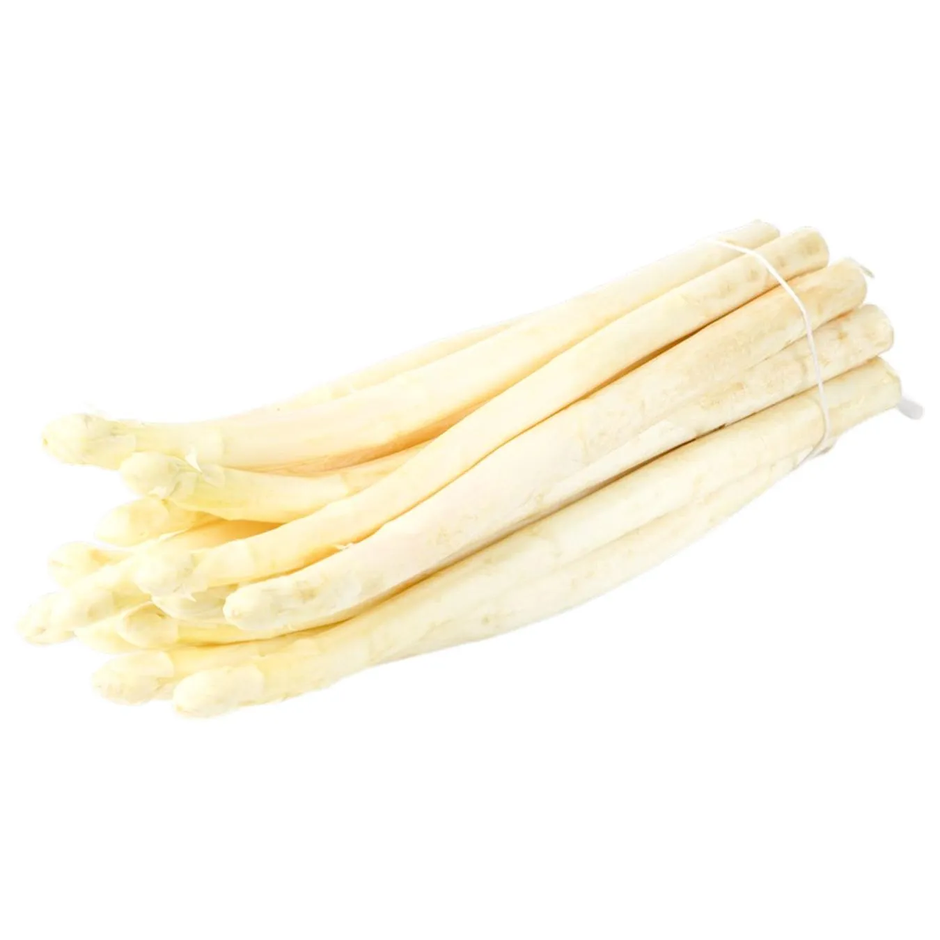 СПАРЖА БІЛА 500 Г - Фото 1