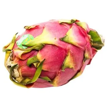 Пітахайя біла, шт - Фото 1