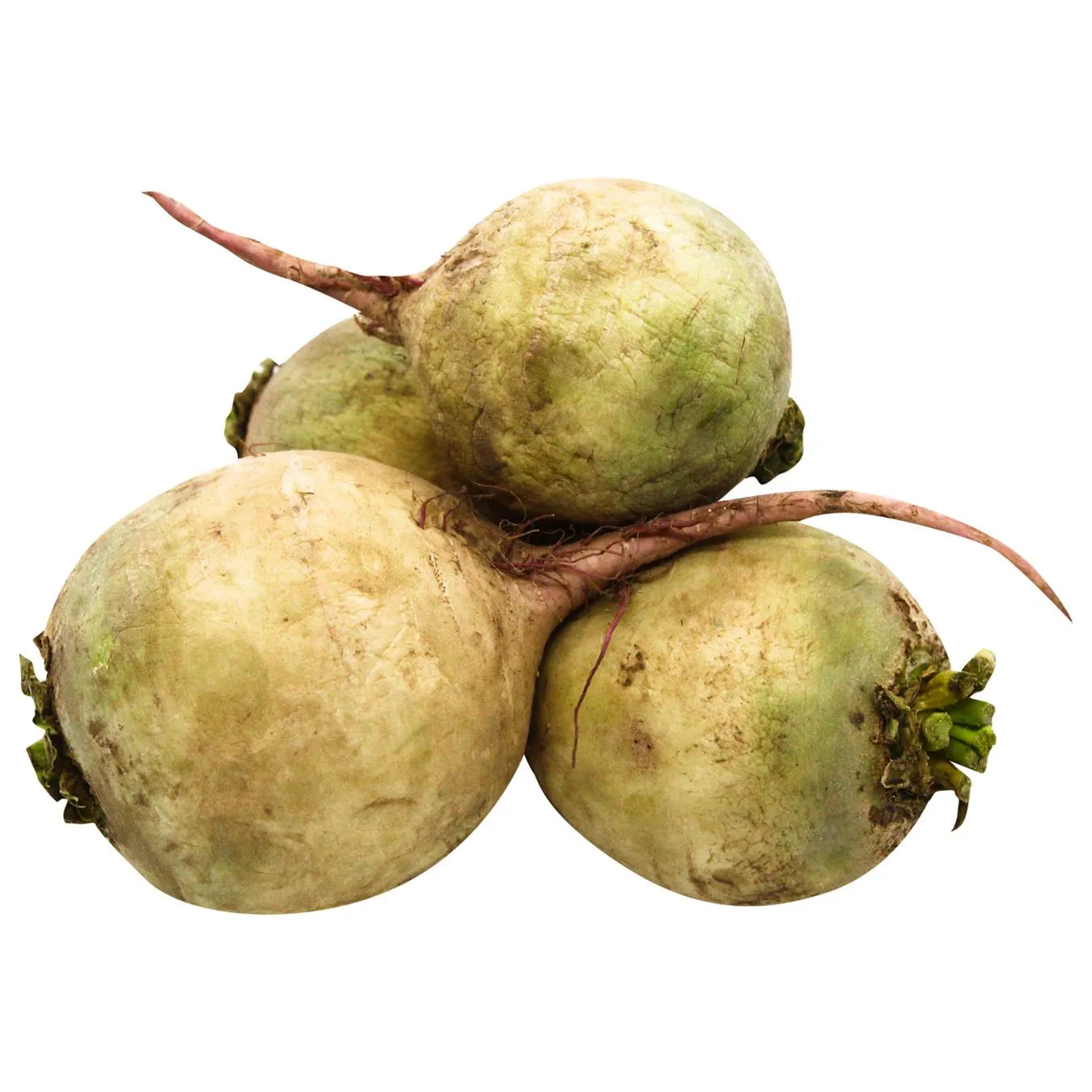 Редька Ред Міт - Фото 1