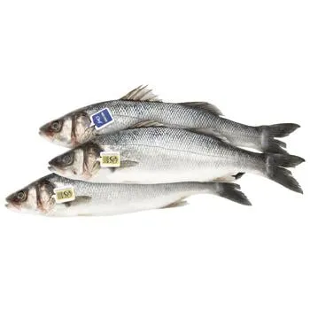 Сібас Metro Chef 600-800г - Photo 1