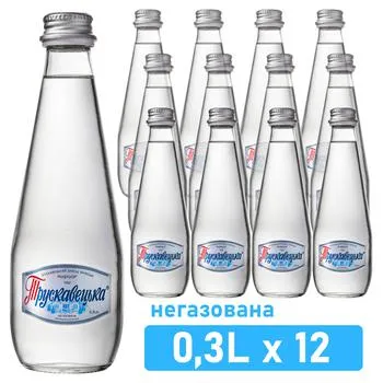 Вода мінеральна Трускавецька негазована 0,3л - Фото 1