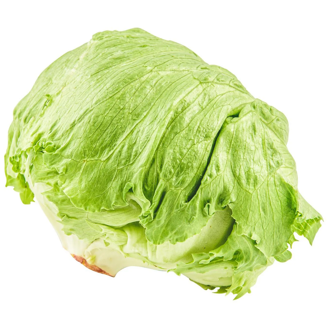 Салат Айсберг ваговий - Фото 1