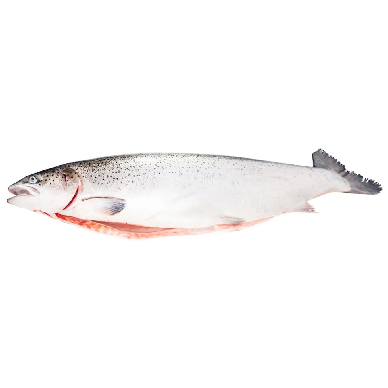 Лосось тушка Metro Chef 4-5кг - Фото 1