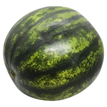 Кавун - Фото 4