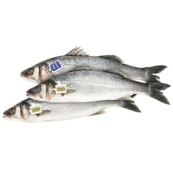 Сібас Metro Chef Греція 200-300 - Photo 1