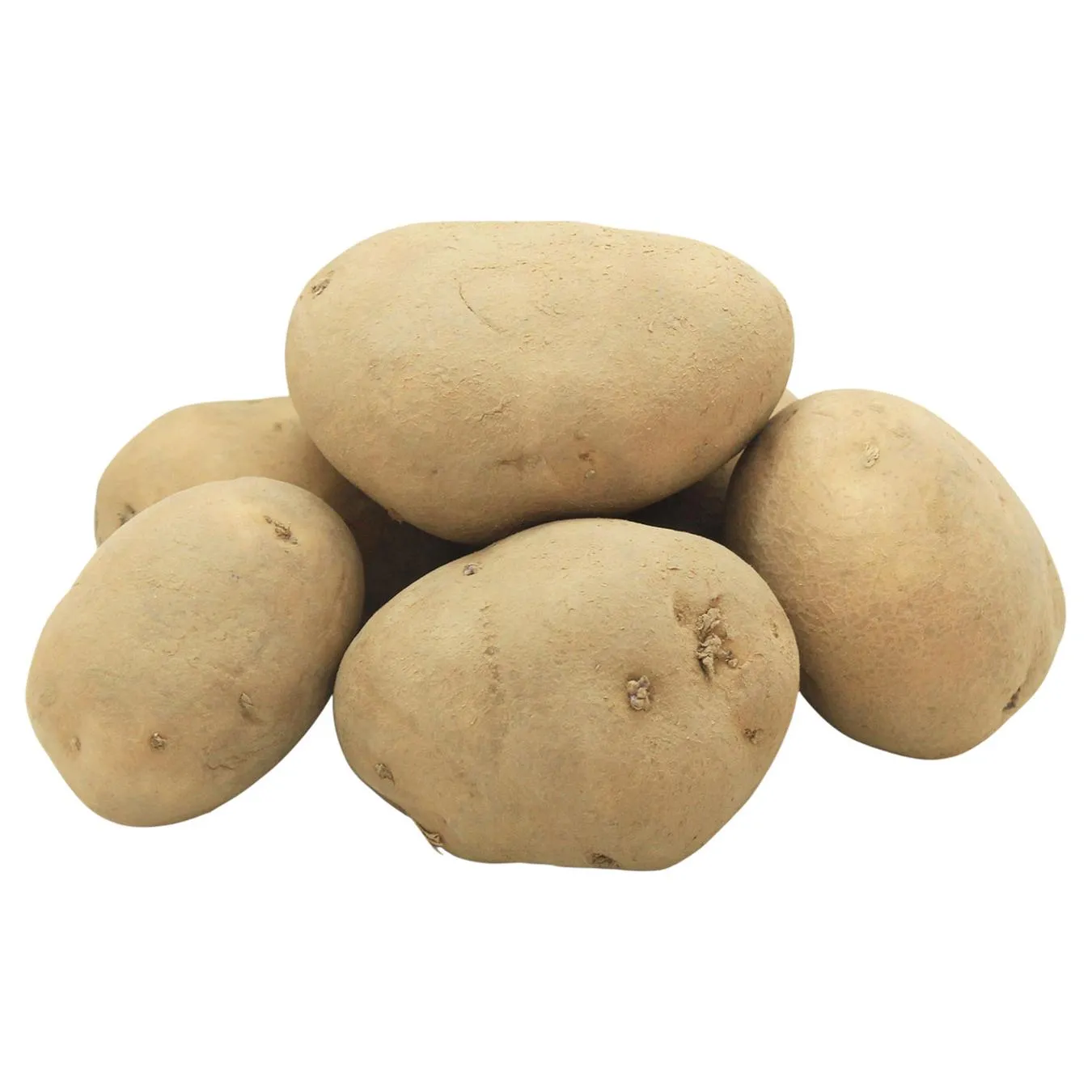 Картопля - Фото 7