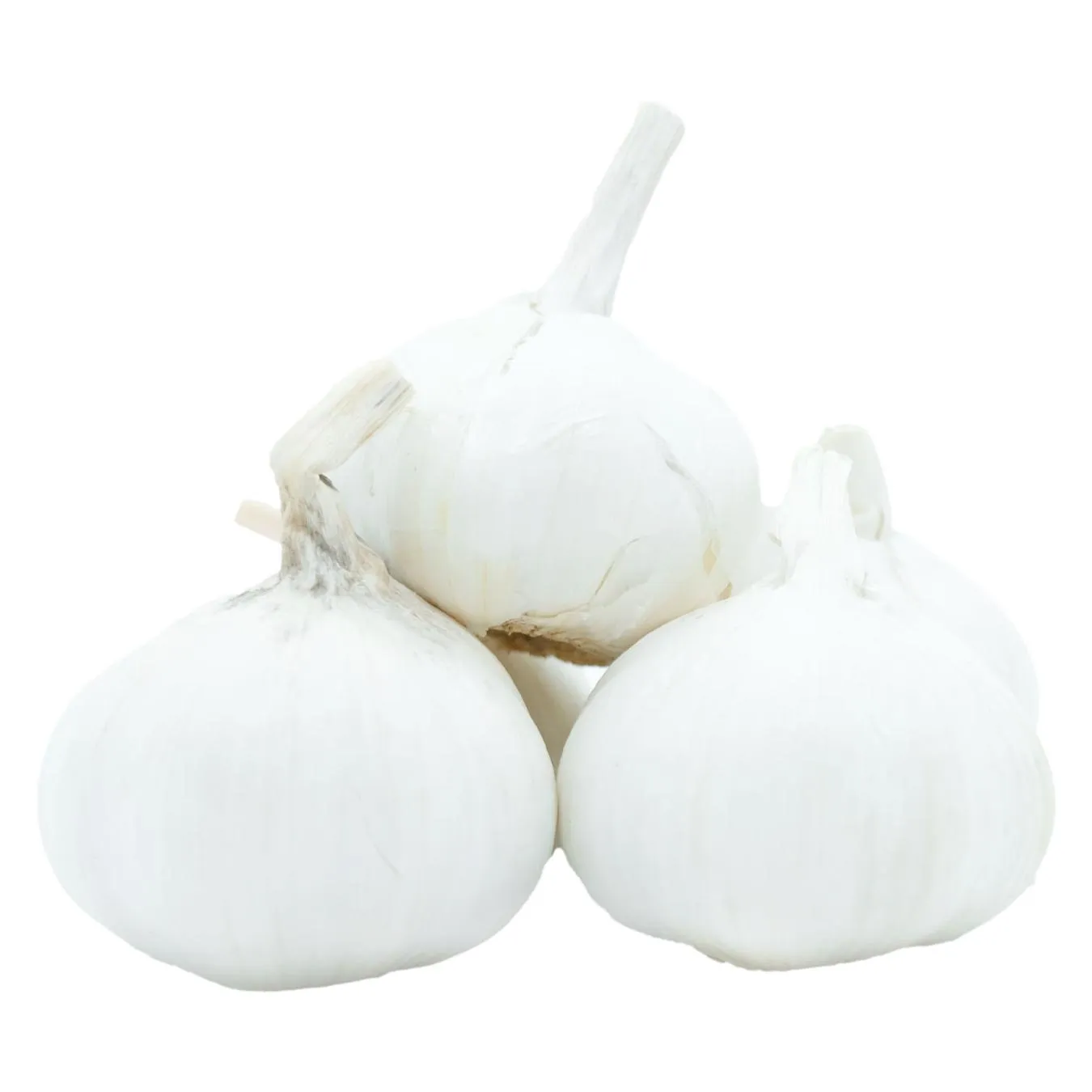 Часник - Фото 7