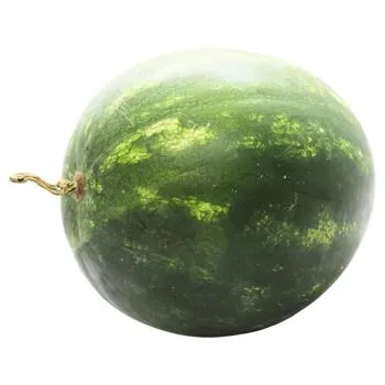 Кавун - Фото 4