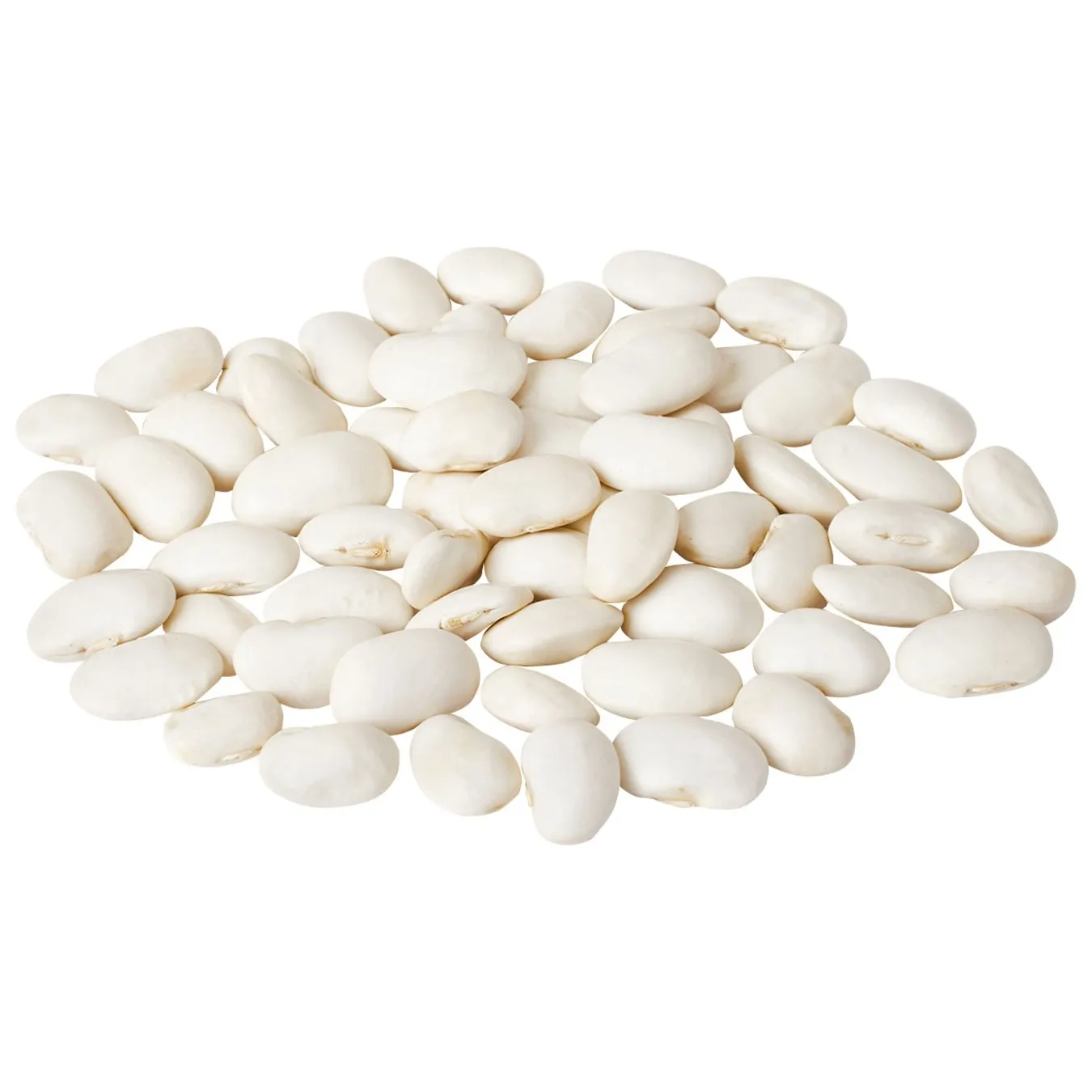 Квасоля біла - Фото 3